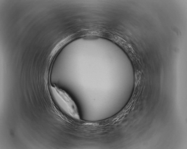 X0000112170051200908071008