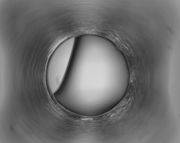 X0000112170052200908071008