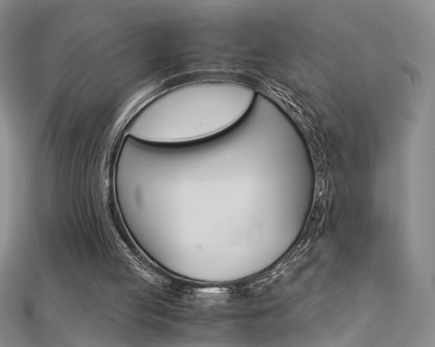 X0000112170053200908071008