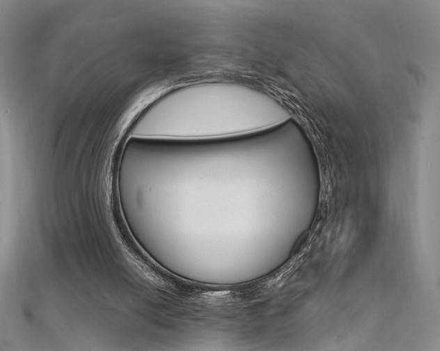 X0000112170054200908071008