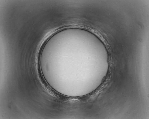 X0000112170055200908071008