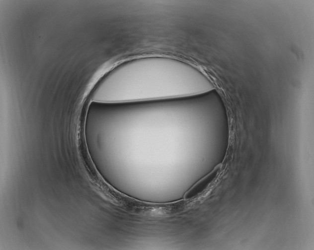 X0000112170056200908071008