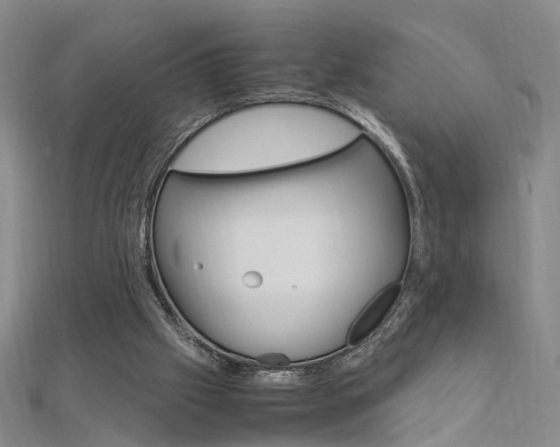 X0000112170057200908071008