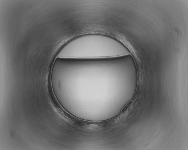 X0000112170058200908071008