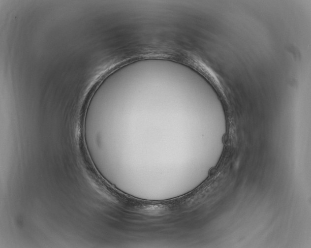 X0000112170059200908071008