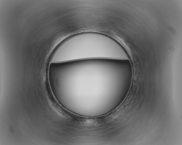 X0000112170060200908071008