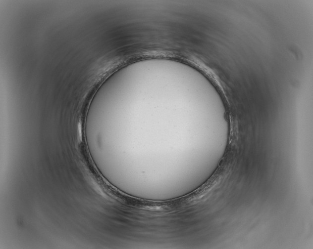 X0000112170061200908071008