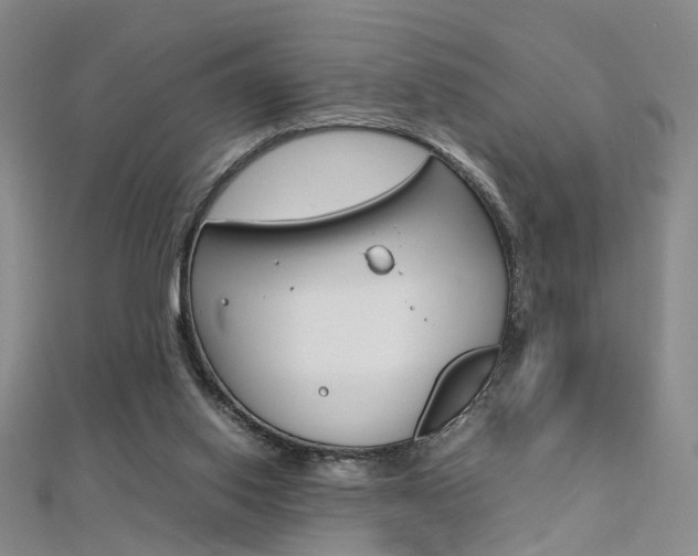 X0000112170062200908071008