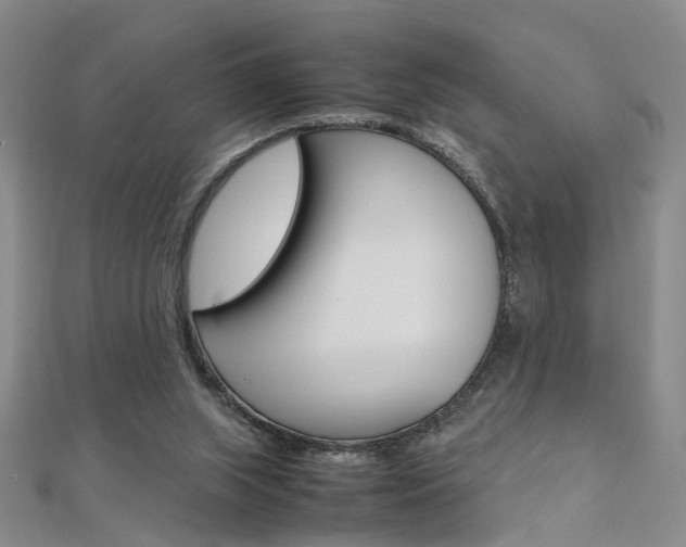 X0000112170063200908071008