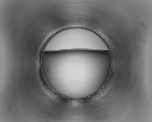 X0000112170064200908071008