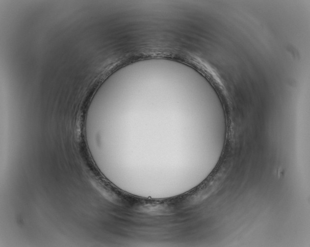 X0000112170065200908071008