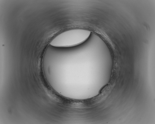 X0000112170066200908071008