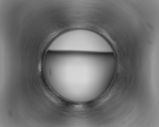 X0000112170068200908071008