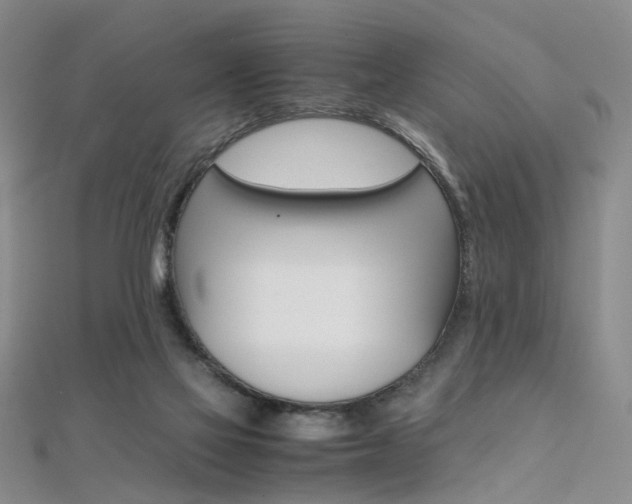 X0000112170069200908071008