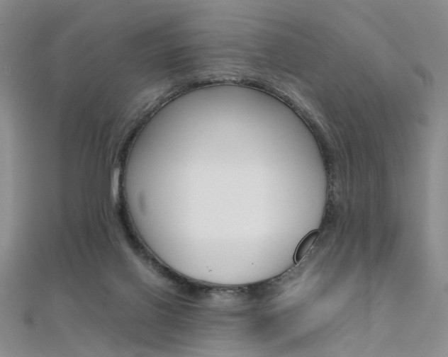 X0000112170070200908071008