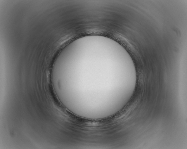 X0000112170071200908071008