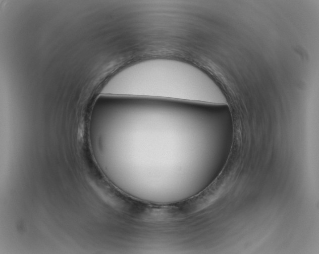 X0000112170072200908071008