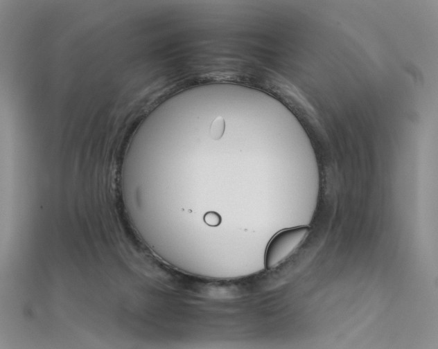 X0000112170073200908071008