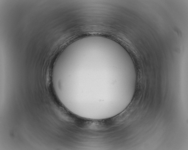 X0000112170074200908071008