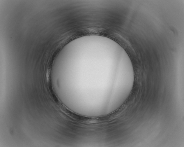 X0000112170075200908071008