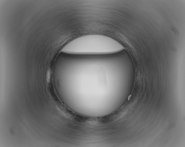 X0000112170076200908071008