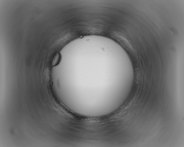 X0000112170077200908071008