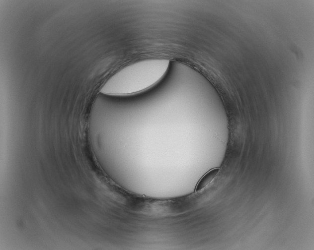 X0000112170078200908071008