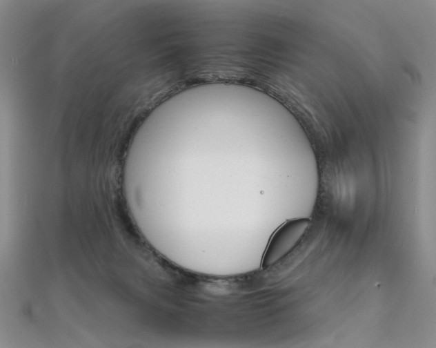 X0000112170079200908071008