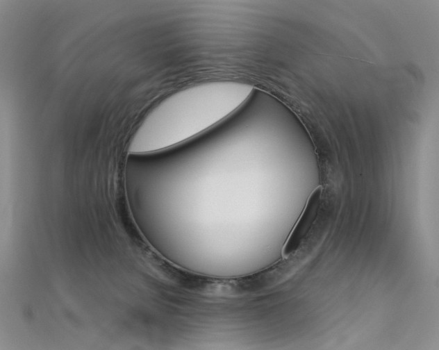 X0000112170080200908071008