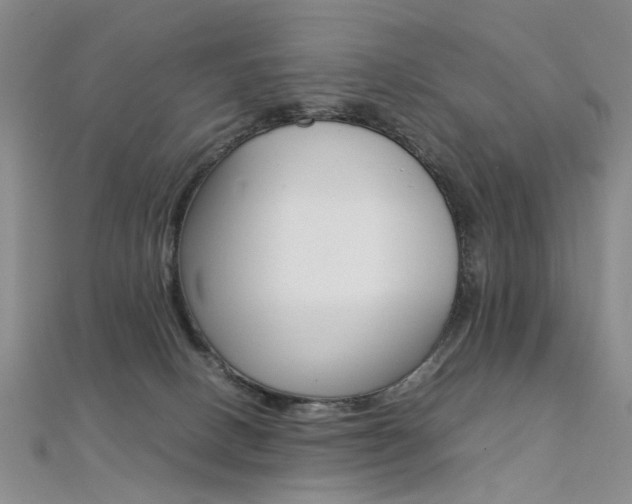 X0000112170082200908071008