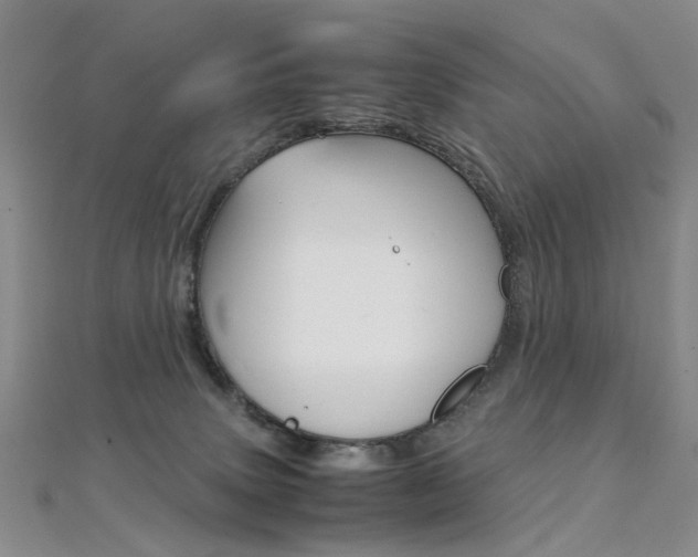 X0000112170083200908071008