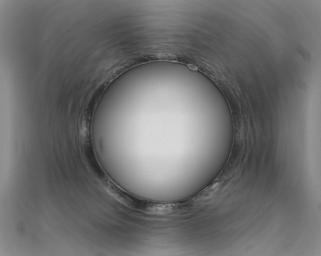 X0000112170084200908071008