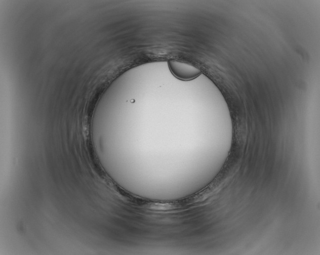 X0000112170085200908071008