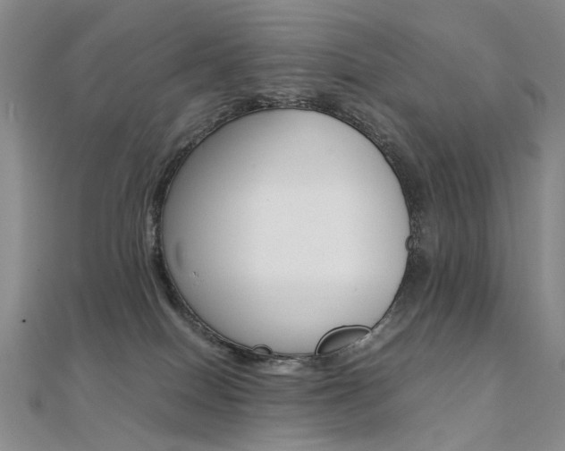 X0000112170086200908071008