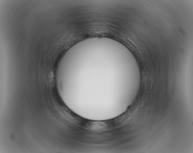 X0000112170087200908071008