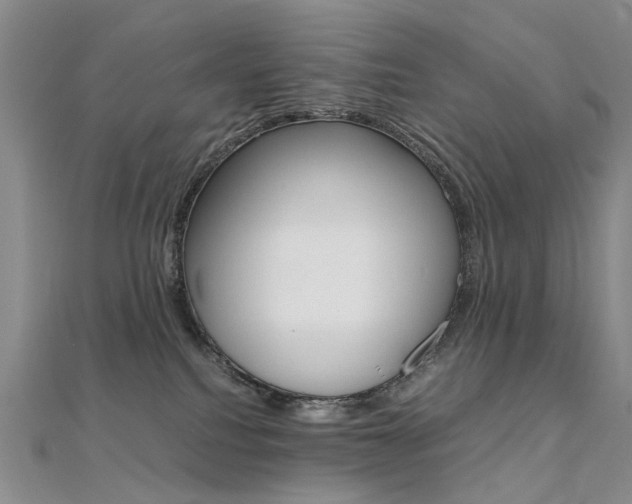 X0000112170088200908071008