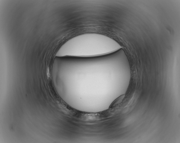 X0000112170089200908071008