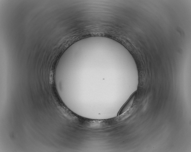 X0000112170090200908071008