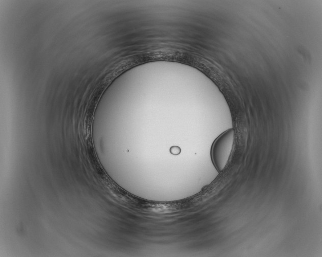 X0000112170091200908071008