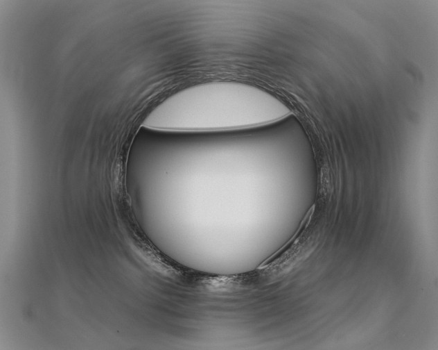 X0000112170092200908071008