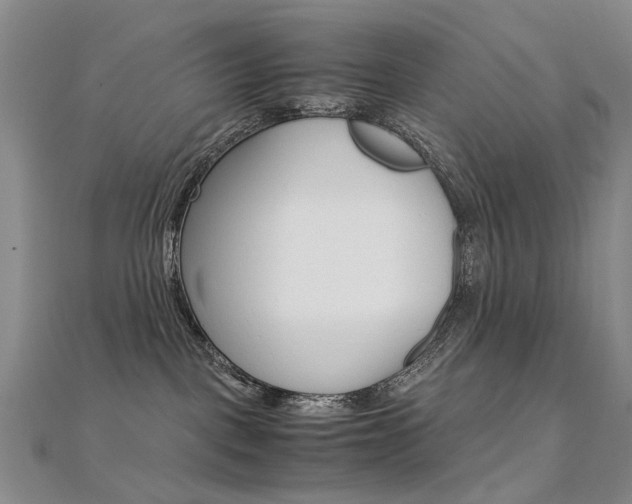 X0000112170093200908071008