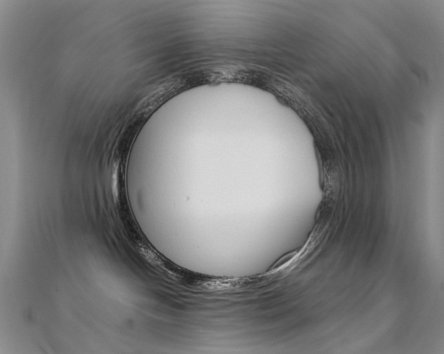 X0000112170094200908071008