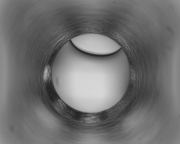 X0000112170095200908071008