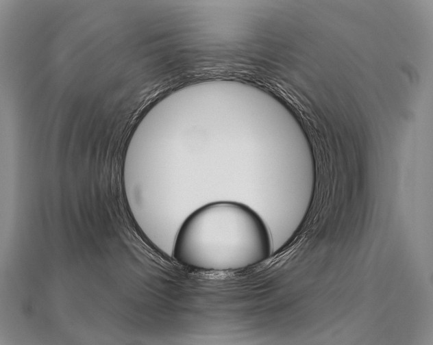 X0000112170096200908071008