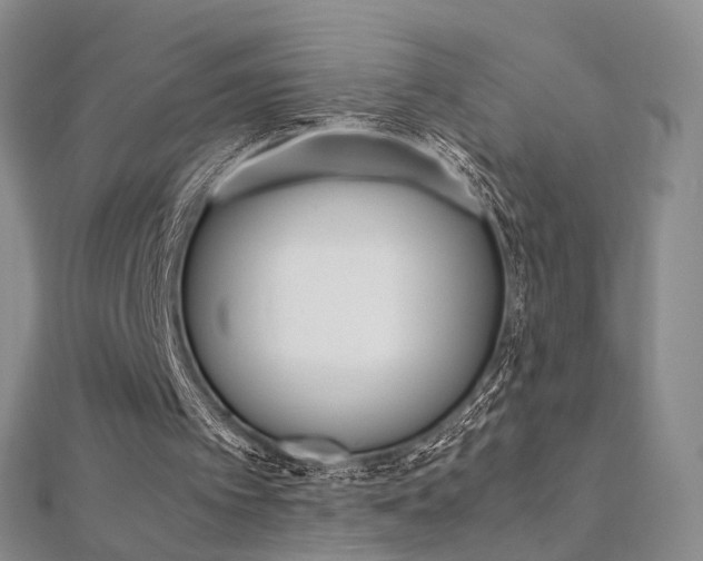 X0000112170097200908071008