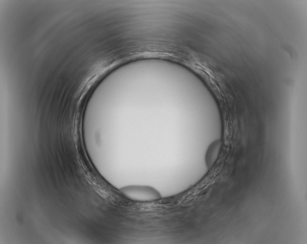 X0000112170098200908071008