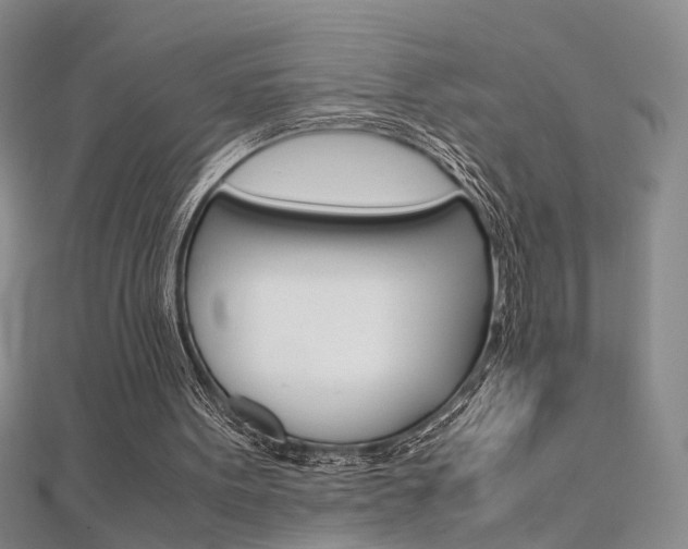 X0000112170099200908071008