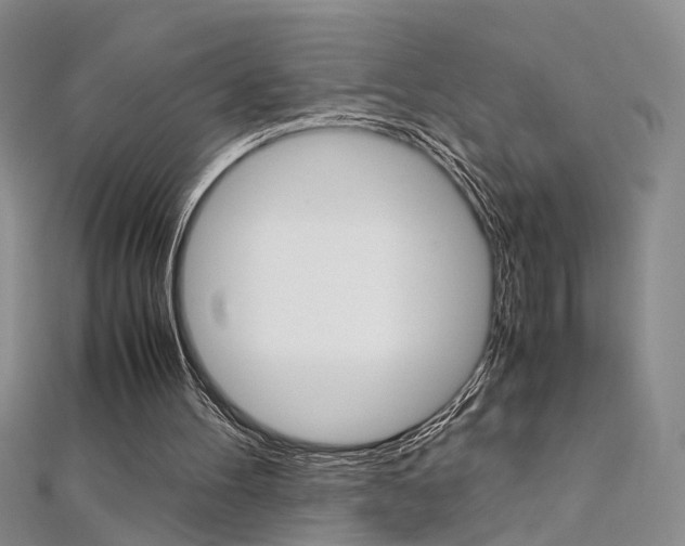 X0000112170100200908071007