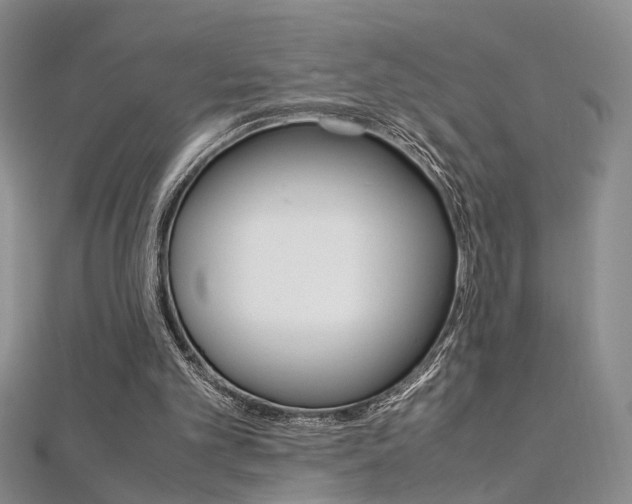 X0000112170101200908071007