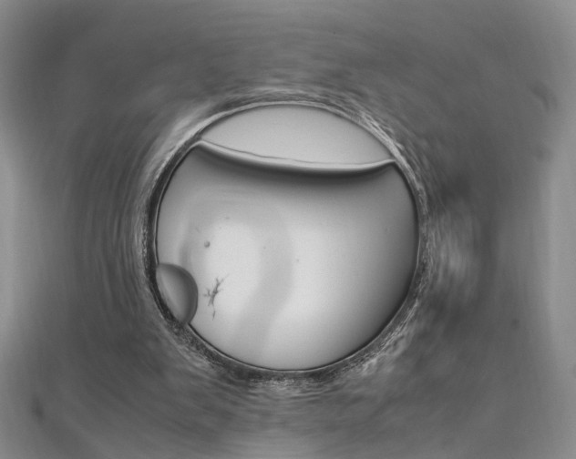 X0000112170103200908071007